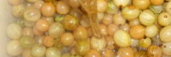 царское варенье