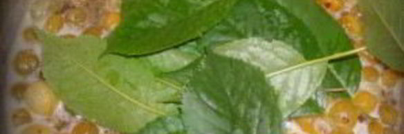 царское варенье