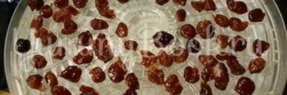 цукаты из черешни