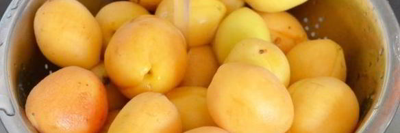 варенье из абрикосов без косточек