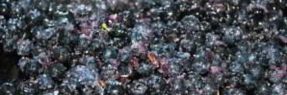 варенье из черники в хлебопечке