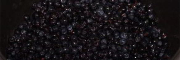 варенье из черники в мультиварке