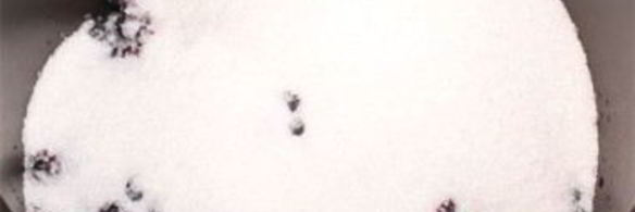 варенье из черники в мультиварке