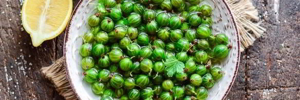 варенье из крыжовника без варки