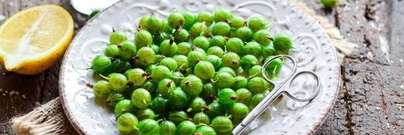 варенье из крыжовника без варки