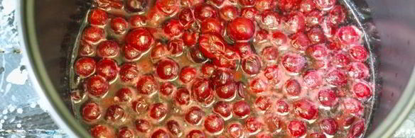 варенье из крыжовника в мультиварке