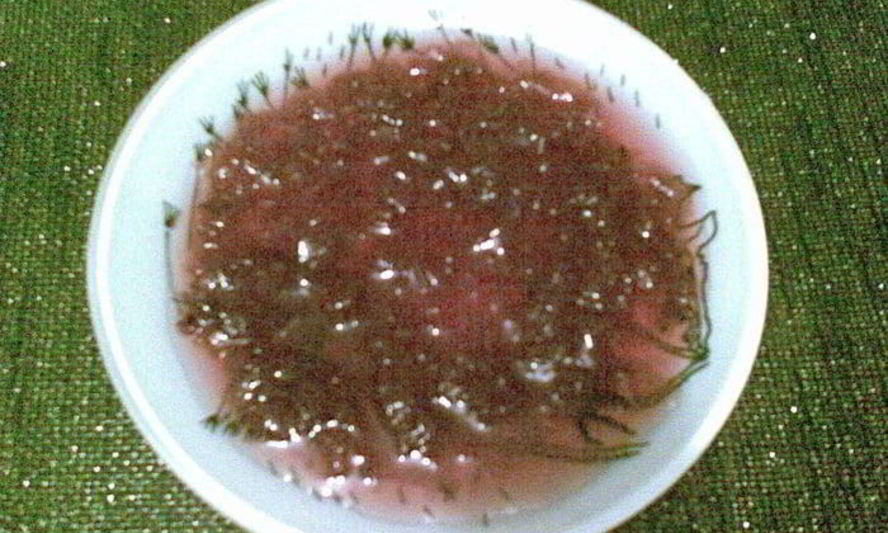 Рецепт варенья из лепестков розы