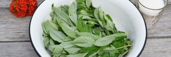 варенье из мяты