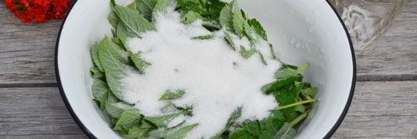 варенье из мяты