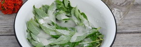 варенье из мяты