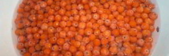 варенье из рябины на зиму