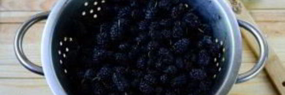 варенье из шелковицы на зиму