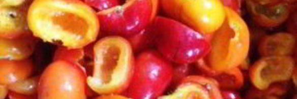 варенье из шиповника