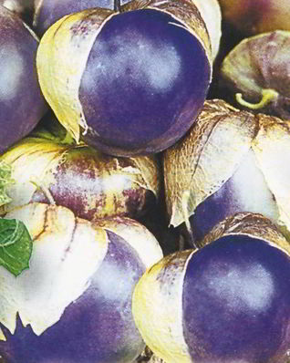 Варенье из сливового физалиса