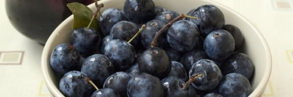 варенье из терна без косточек пятиминутка