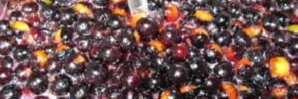 варенье из терна с косточками