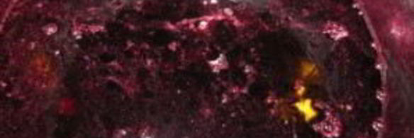 варенье из терна с косточками