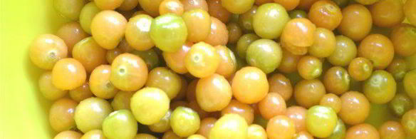 варенье из земляничного физалиса с корицей и лимоном