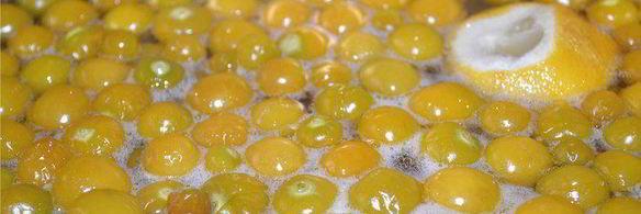 варенье из земляничного физалиса с корицей и лимоном