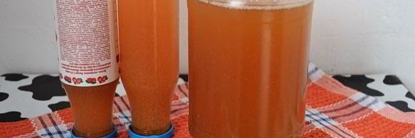 яблочный сок без сахара на зиму