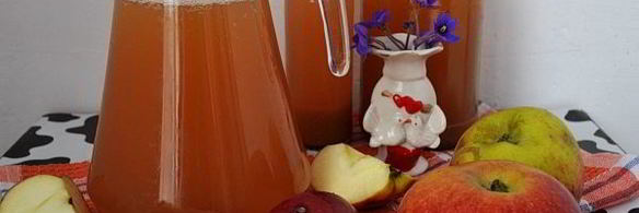 яблочный сок без сахара на зиму