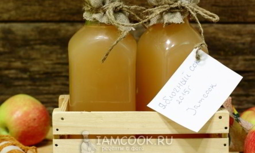 Рецепт яблочного сока через соковыжималку