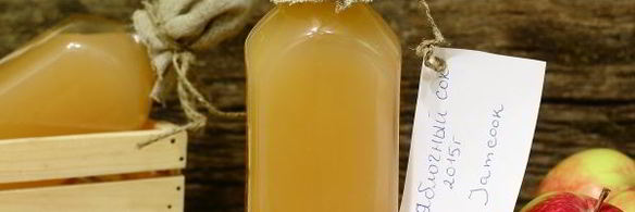 яблочный сок через соковыжималку