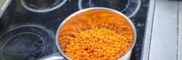 заготовка облепихи