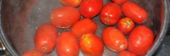 заготовка пассаты