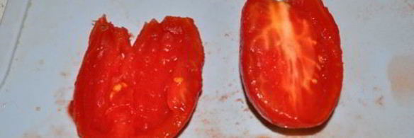 заготовка пассаты