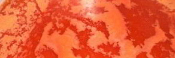 закатка фаршированного перца