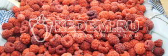 заморозка малины на зиму