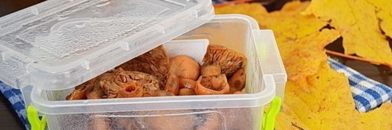 Заморозка рыжиков на зиму