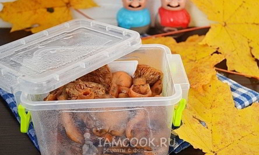 Рецепт заморозки рыжиков на зиму