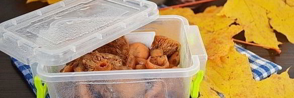 заморозка рыжиков на зиму