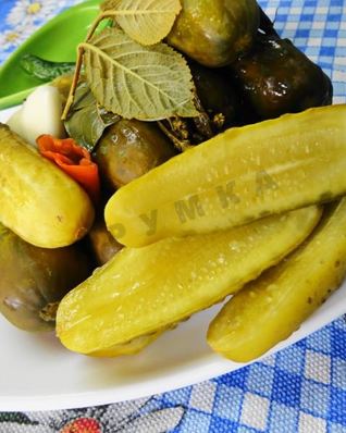 Засолка бочковых огурцов на зиму