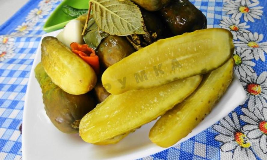Рецепт засолки бочковых огурцов на зиму