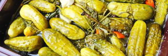 засолка бочковых огурцов на зиму