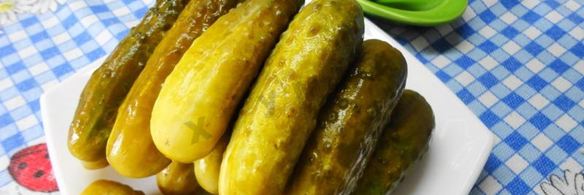 засолка бочковых огурцов на зиму