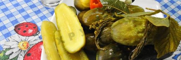 засолка бочковых огурцов на зиму