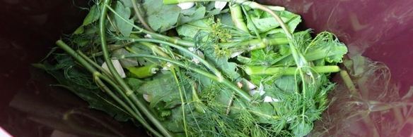 засолка бочковых огурцов на зиму