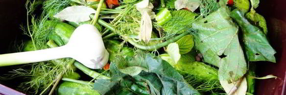 засолка бочковых огурцов на зиму