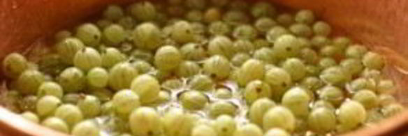 желе из крыжовника на зиму