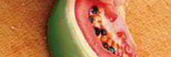 бутерброд с арбузом