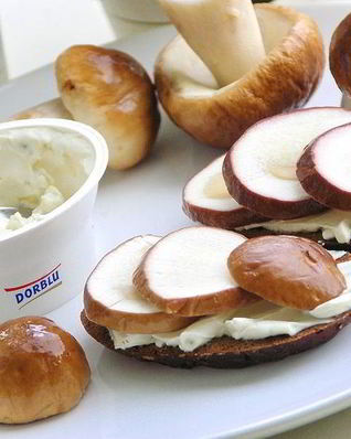 Бутерброд с белым грибом