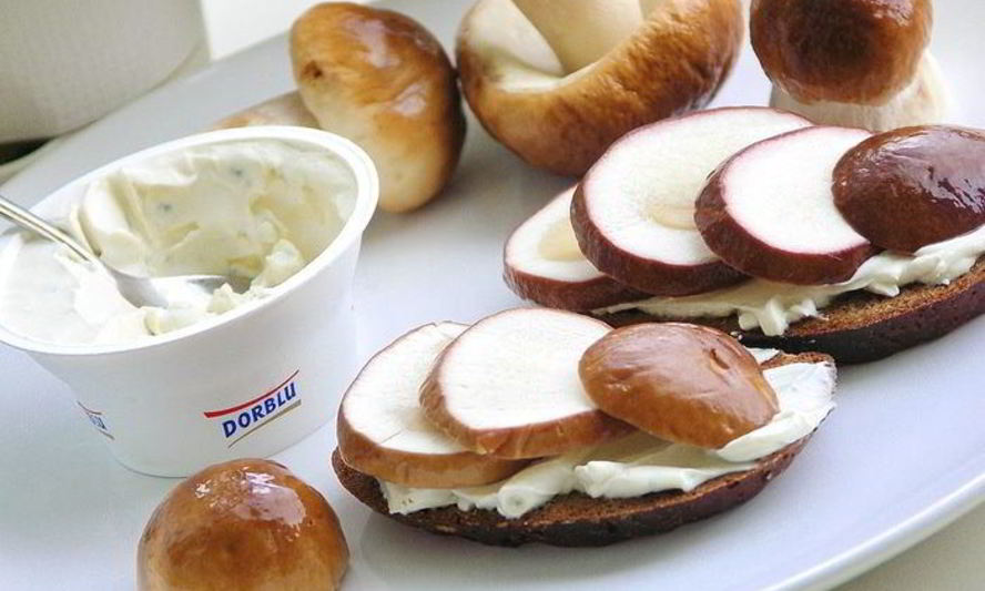 Рецепт бутерброда с белым грибом