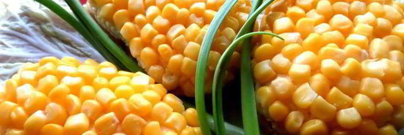 бутерброды букет мимоз