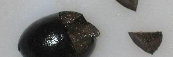 бутерброды кот и пес