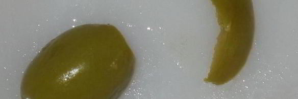 бутерброды кот и пес