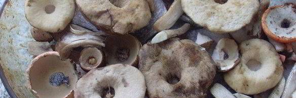 горячие бутерброды из домашнего хлеба с грибами